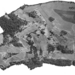 <1951
